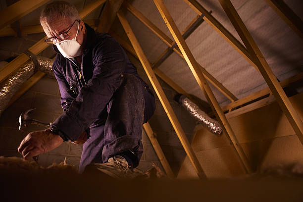 Best Crawl Space Insulation  in Beggs, OK